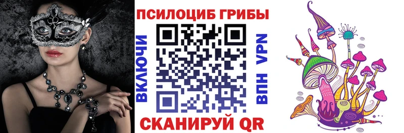 OMG зеркало  Нововоронеж  Псилоцибиновые грибы прущие грибы 